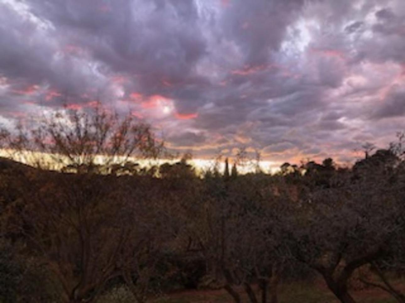 Bastide Saint Bernard Bed & Breakfast Le Thoronet Luaran gambar