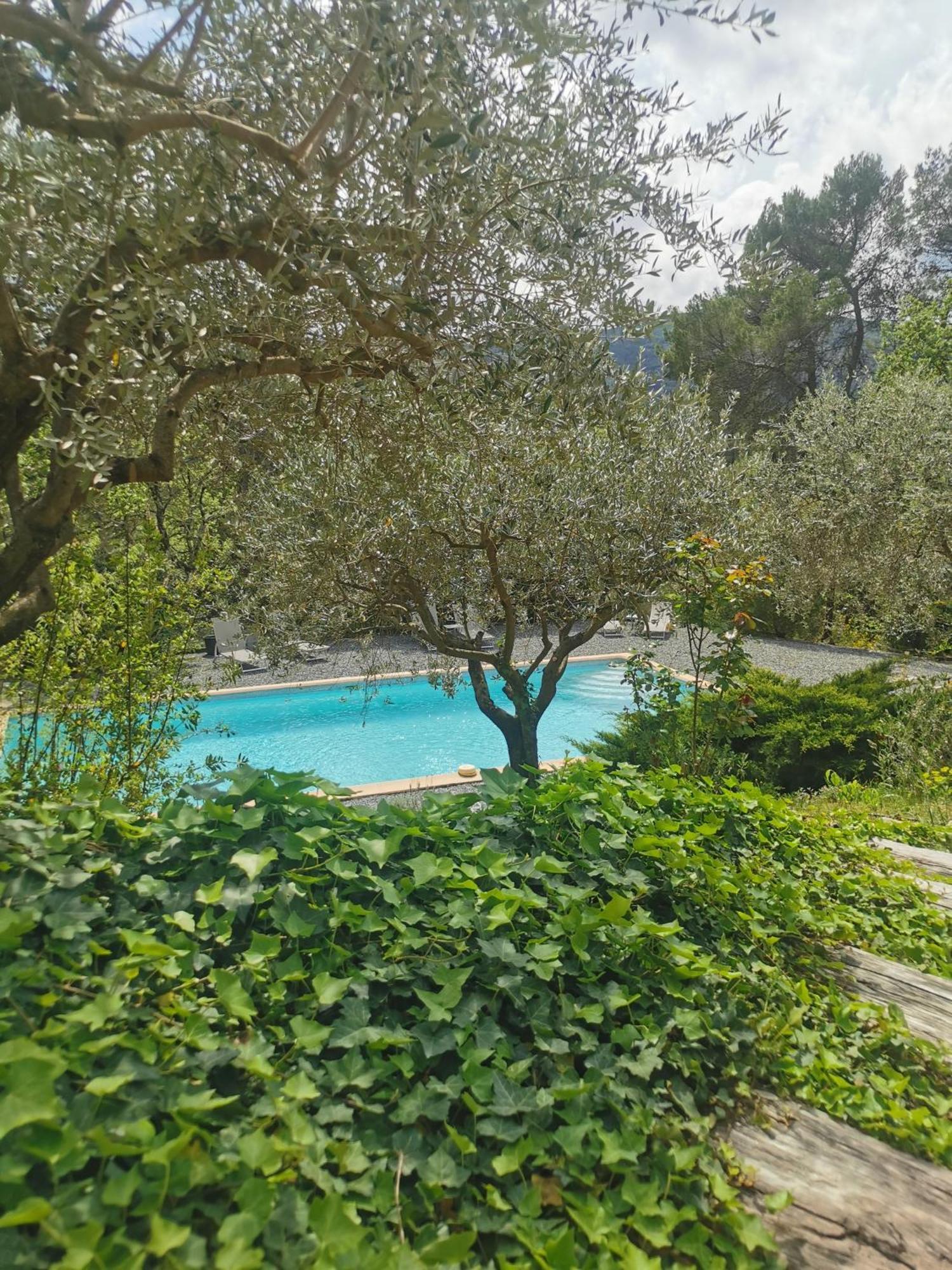 Bastide Saint Bernard Bed & Breakfast Le Thoronet Luaran gambar
