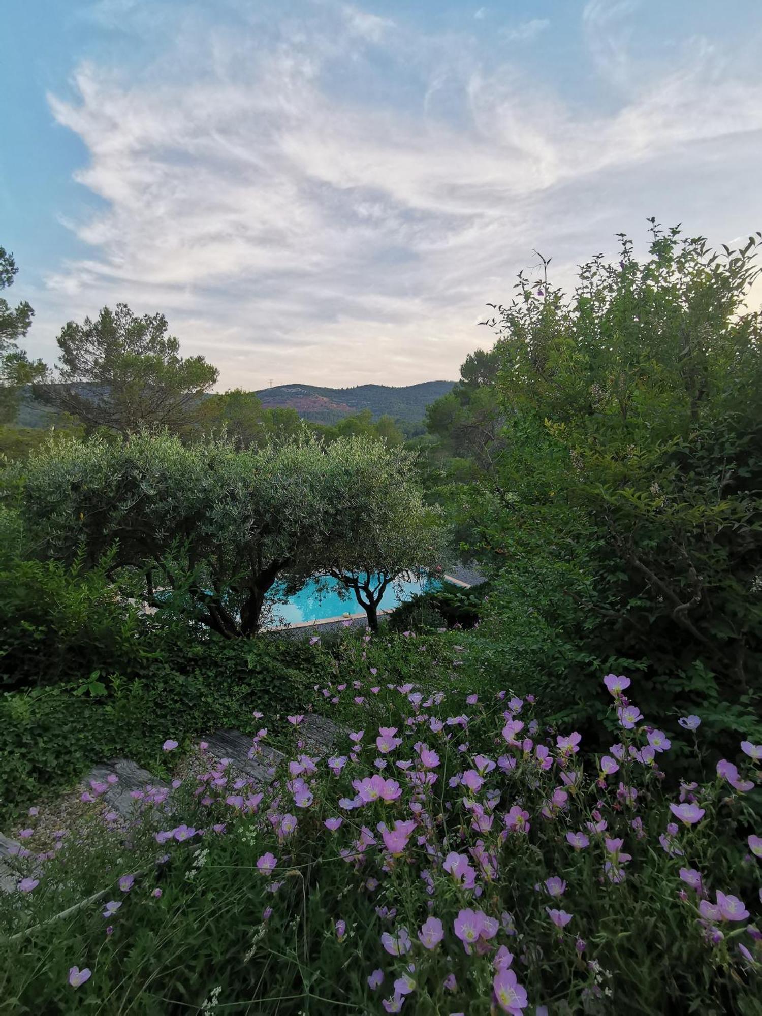 Bastide Saint Bernard Bed & Breakfast Le Thoronet Luaran gambar