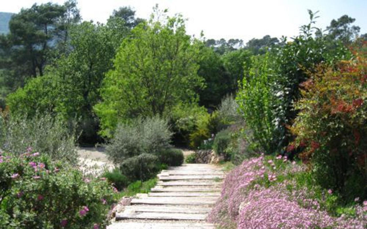 Bastide Saint Bernard Bed & Breakfast Le Thoronet Luaran gambar