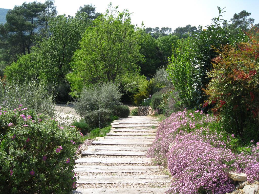 Bastide Saint Bernard Bed & Breakfast Le Thoronet Luaran gambar